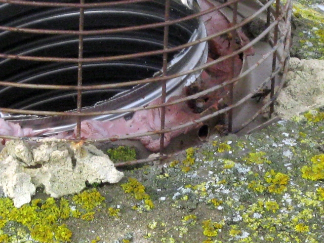 Bees in chimney around flexible liner being tested by Fotheringhay Woodburners