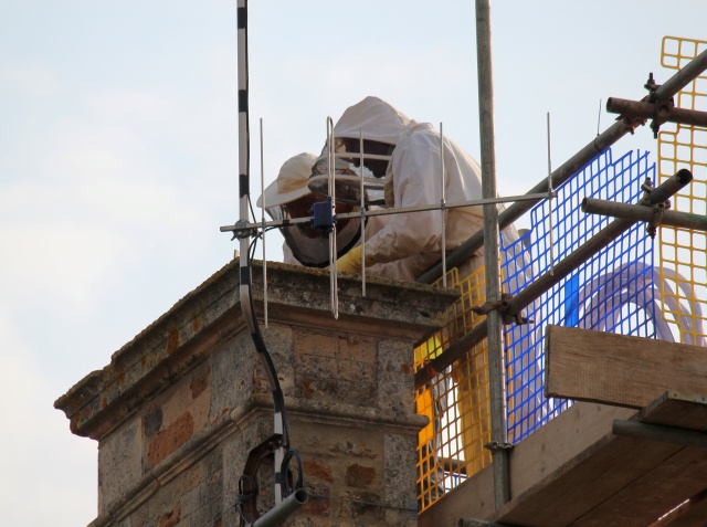 Bees in chimney being removed and re-homed during installation of chimney liner